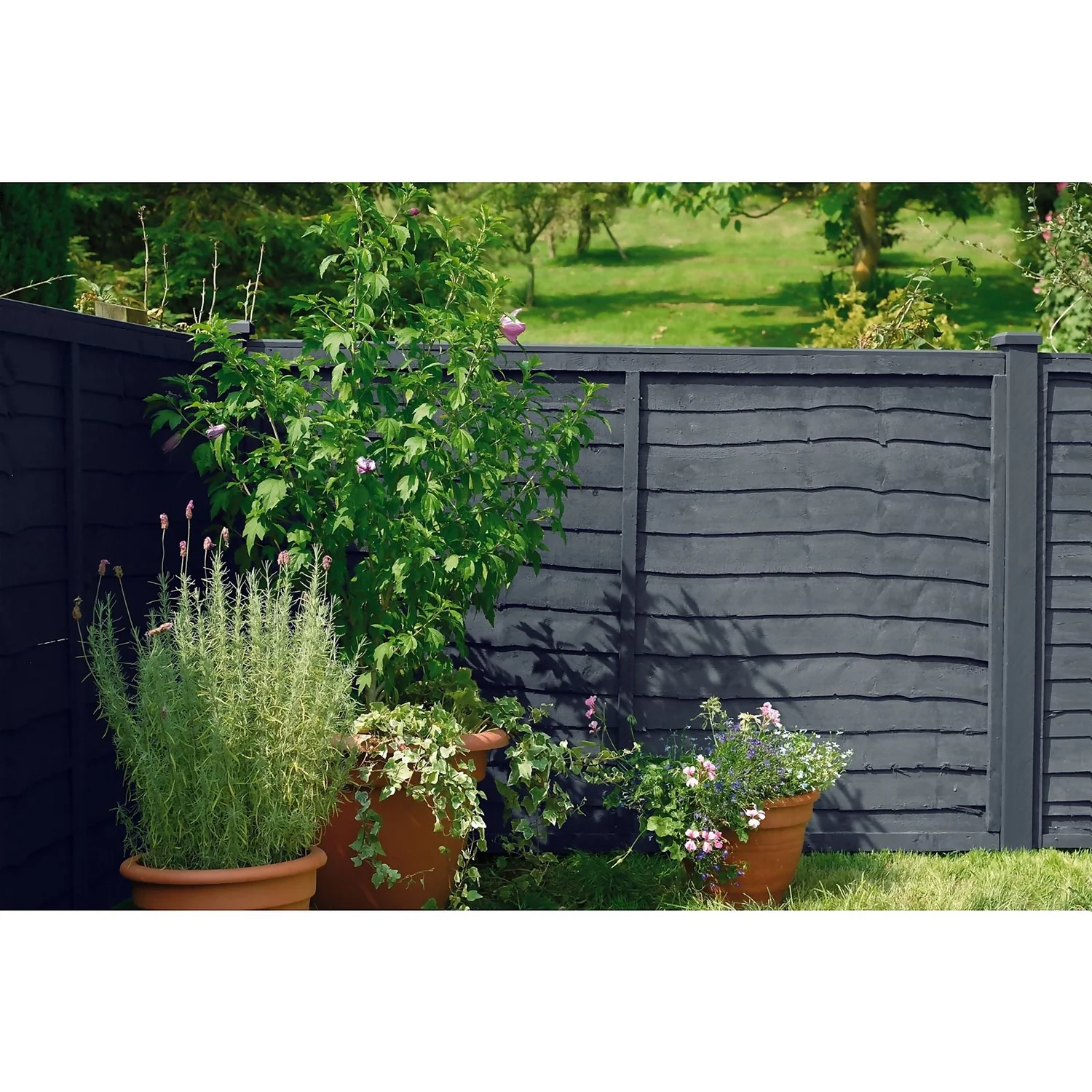 Cuprinol 5 Year Ducksback - Silver Copse - 5L Cuprinol 5 Year Ducksback - Silver Copse - 5L -Sandtex Shop 12804823 1634842792492135