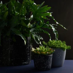 Craig & Rose Artisan Crackle Effect Spray Paint - White - 400ml 2 Craig & Rose Artisan Crackle Effect Spray Paint - White - 400ml -Sandtex Shop 12817542 9914833199741446