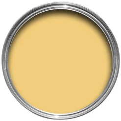 Farrow & Ball Estate Matt Emulsion Paint Citron - Tester 100ml -Sandtex Shop 12819438 1784951388882388