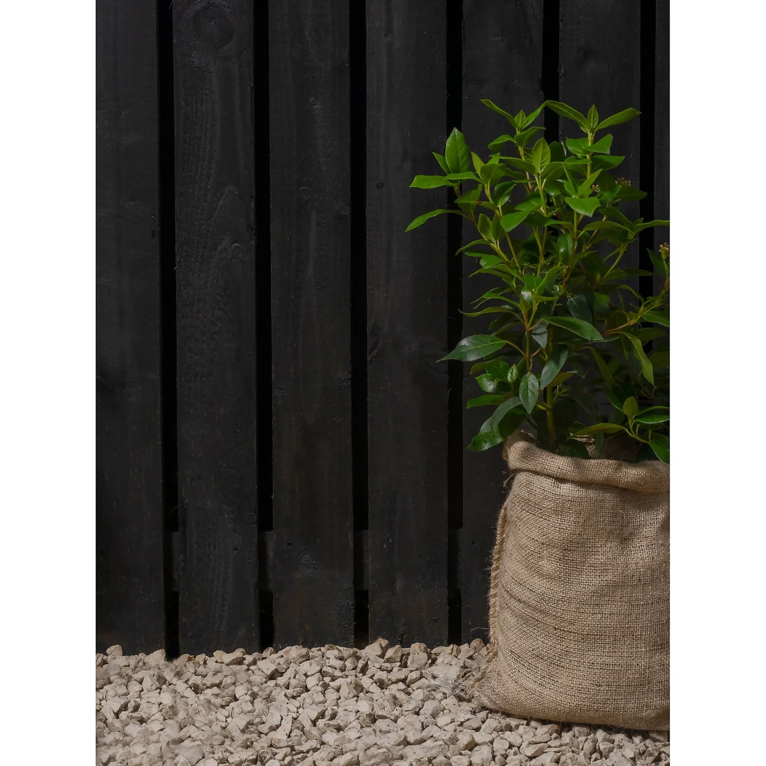 Ronseal Fence Life Plus Paint Tudor Black Oak - 5L Ronseal Fence Life Plus Paint Tudor Black Oak - 5L -Sandtex Shop 12833707 3314944410694045