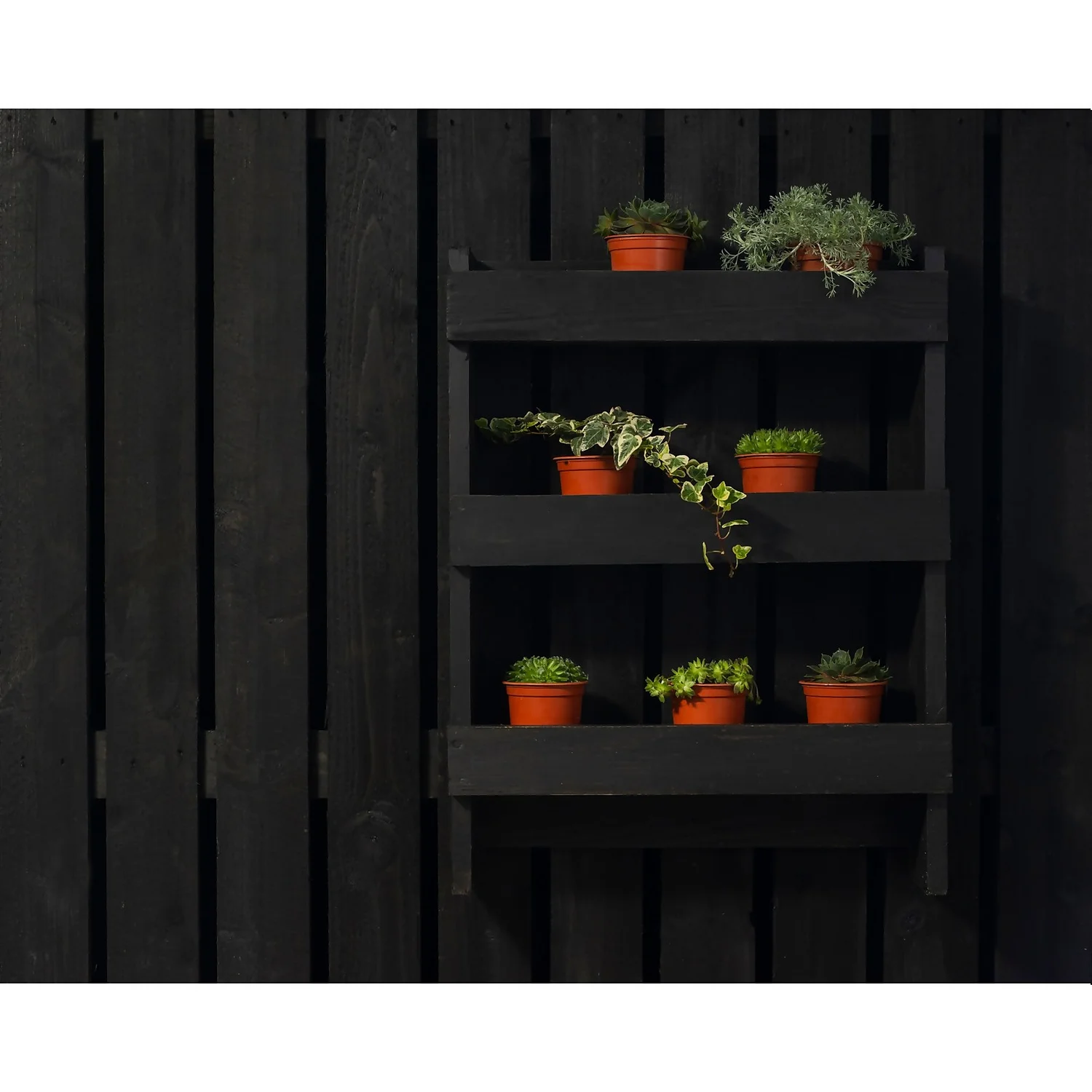 Ronseal Fence Life Plus Paint Tudor Black Oak - 5L Ronseal Fence Life Plus Paint Tudor Black Oak - 5L -Sandtex Shop 12833707 5684944410635236