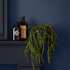 Crown Easyclean® Mouldguard+ Bathroom Mid Sheen Washable Multi Surface Paint Midnight Navy® - 2.5L -Sandtex Shop 12886764 1824853415644115