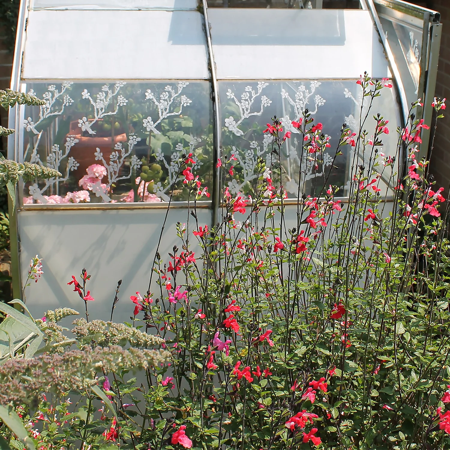 Thorndown Purple Phoenix Peelable Glass Paint 150ml Thorndown Purple Phoenix Peelable Glass Paint 150ml -Sandtex Shop 13301876 1184920788841540