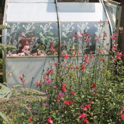 Thorndown Purple Puffin Peelable Glass Paint 750ml 5 Thorndown Purple Puffin Peelable Glass Paint 750ml -Sandtex Shop 13301882 2044920789533160